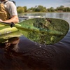 image:imageCarlisle Magic Angler Kayak Paddle with Polypropylene Blades and Wrapped Fiberglass ShaftPhotic