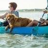 image:imageCarlisle Magic Mystic Kayak Paddle with Polypropylene Blades and Aluminum ShaftSeaglass