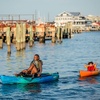 image:imageOld Town Ocean Kayak Malibu Pedal Kayak Solo SitonTop PedalDriven Recreational Kayak 12 ftLava