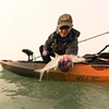 image:imageOld Town Sportsman AutoPilot 136 Solo SitonTop Fishing Motorized Kayak with Minn Kota Motor 13 ft 6 inEmber Camo